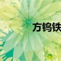 方钨铁矿（关于方钨铁矿简介）