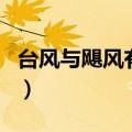 台风与飓风有什么区别（台风与飓风没有区别）