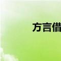 方言借用（关于方言借用简介）