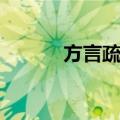 方言疏证（关于方言疏证简介）
