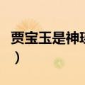 贾宝玉是神瑛侍者吗（贾宝玉是不是神瑛侍者）