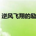 逆风飞翔的励志句子（表达逆风飞翔的说说）