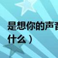 是想你的声音啊歌词（是想你的声音啊歌词是什么）