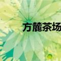 方麓茶场村（关于方麓茶场村简介）
