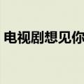 电视剧想见你结局是什么（最终结果是什么）