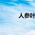 人参叶怎么吃（人参叶的吃法）