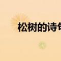 松树的诗句（描写松树的诗句有哪些）