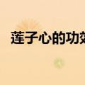 莲子心的功效与作用（莲子心有什么作用）