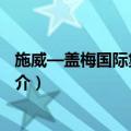 施威—盖梅国际集装箱港（关于施威—盖梅国际集装箱港简介）