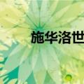 施华洛世奇（关于施华洛世奇简介）