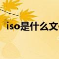 iso是什么文件（ISO格式文件特点是什么）