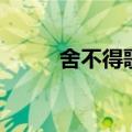 舍不得歌词（舍不得完整版歌词）