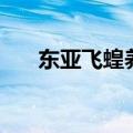 东亚飞蝗养殖技术（这里有详细说明）