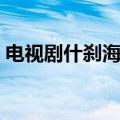 电视剧什刹海演员表（电视剧什刹海的简介）