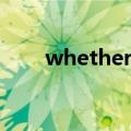 whether怎么读（whether的意思）