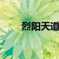 烈阳天道Ⅰ（关于烈阳天道Ⅰ介绍）