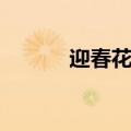 迎春花是什么（什么时候开花）