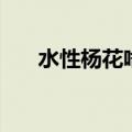 水性杨花啥意思（怎么理解水性杨花）