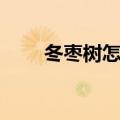 冬枣树怎样修剪（冬枣树如何修剪）