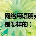 网络用语朋克是什么意思（音乐中的朋克风格是怎样的）