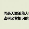 同是天涯沦落人相逢何必曾相识的意思（同是天涯沦落人相逢何必曾相识的意思是什么）