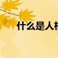 什么是人格魅力（人格魅力详细说明）