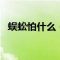 蜈蚣怕什么（都有什么方法预防蜈蚣入侵）