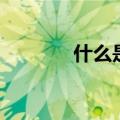 什么是男人节（男人节介绍）