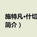 施特凡·什切波维奇（关于施特凡·什切波维奇简介）
