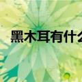 黑木耳有什么好处（黑木耳的功效与作用）