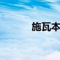 施瓦本语（关于施瓦本语简介）