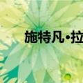 施特凡·拉杜（关于施特凡·拉杜简介）