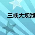 三峡大坝泄洪孔有几个（三峡大坝简介）