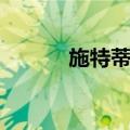 施特蒂纳（关于施特蒂纳简介）