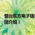 烟台东方电子信息产业集团（关于烟台东方电子信息产业集团介绍）