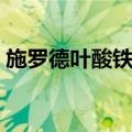 施罗德叶酸铁片（关于施罗德叶酸铁片简介）