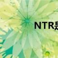 NTR是什么梗（NTR的意思）