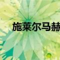 施莱尔马赫传（关于施莱尔马赫传简介）