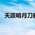 天涯明月刀新手攻略（新手怎么玩明月刀）