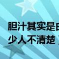 胆汁其实是由人体的哪一个器官分泌的（有多少人不清楚）