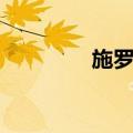 施罗德（关于施罗德简介）