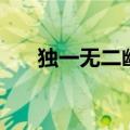 独一无二幽默网名（惊艳的幽默网名）