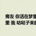 旁友 你活在梦里 我 咕哒子来的 cnm（关于旁友 你活在梦里 我 咕哒子来的 cnm简介）