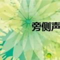 旁侧声纳（关于旁侧声纳简介）