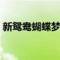 新鸳鸯蝴蝶梦歌词含义（新鸳鸯蝴蝶梦歌词）