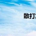 散打加点2021（散打加点）