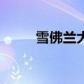 雪佛兰大黄蜂价格（大黄蜂 价格）