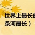 世界上最长的河是哪条河的短视频（世界上那条河最长）