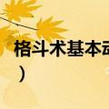 格斗术基本动作图解（格斗术的基本招式图解）