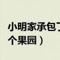 小明家承包了一个果园英语（小明家承包了一个果园）